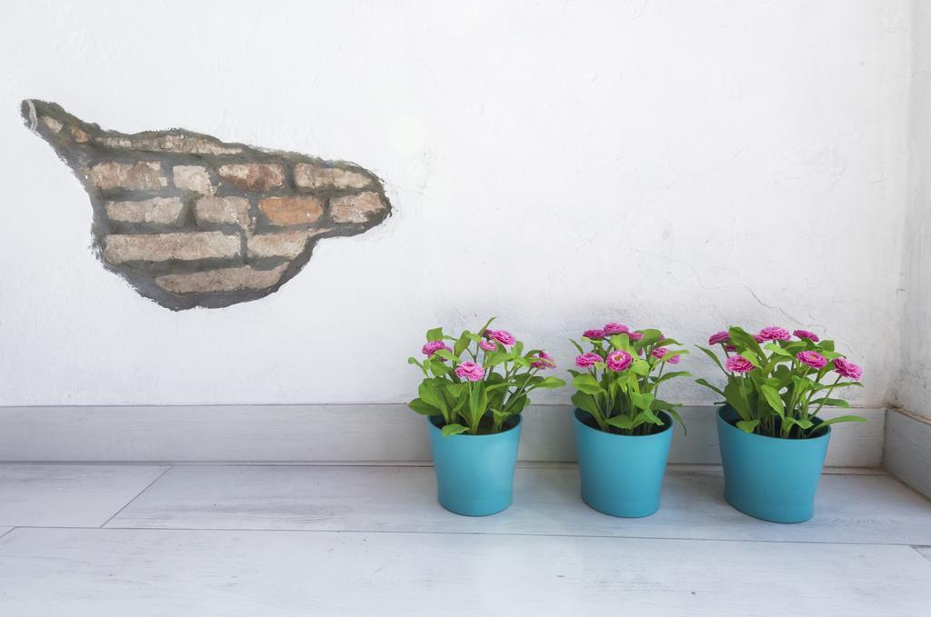 Attico Del Duomo Apartment Modena Ngoại thất bức ảnh